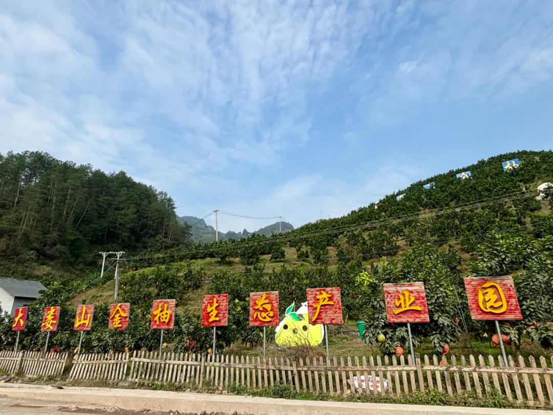 桐梓县农业农村局最新发展规划概览