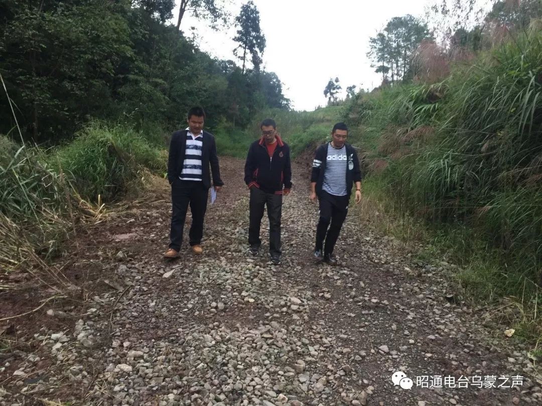 魏家坝村委会新领导引领村庄发展开启新篇章
