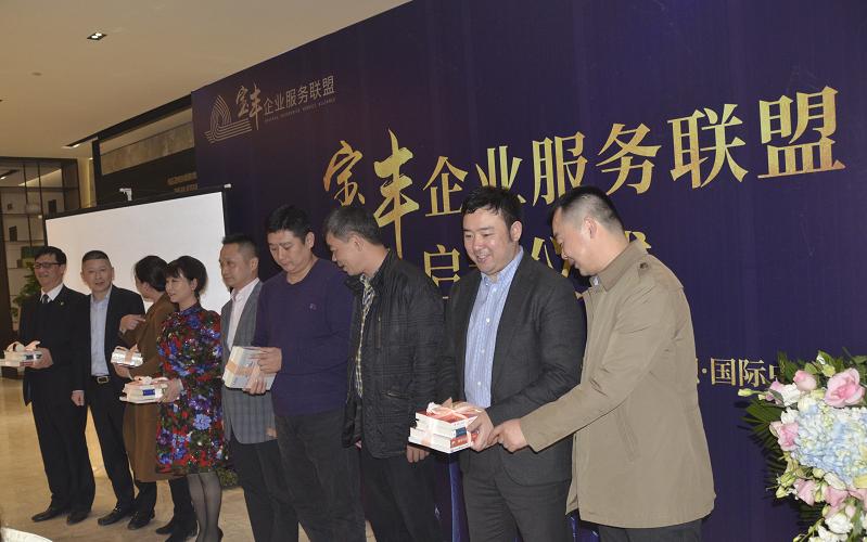 宝丰县财政局最新新闻动态深度解析