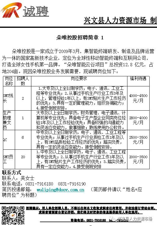 金城江区财政局最新招聘信息详解