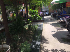 马鞍东路社区最新动态报道