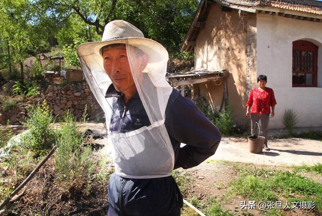 山西省临汾市古县古阳镇最新项目概览与深度解读