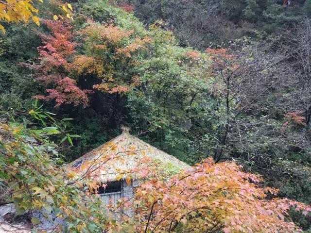 白云山林场人事任命最新动态