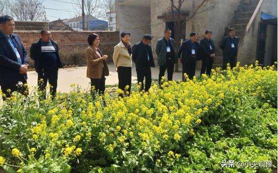 大岗李乡最新新闻综述，发展动态与民生改善