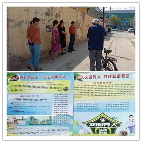 唐海镇最新招聘信息总览
