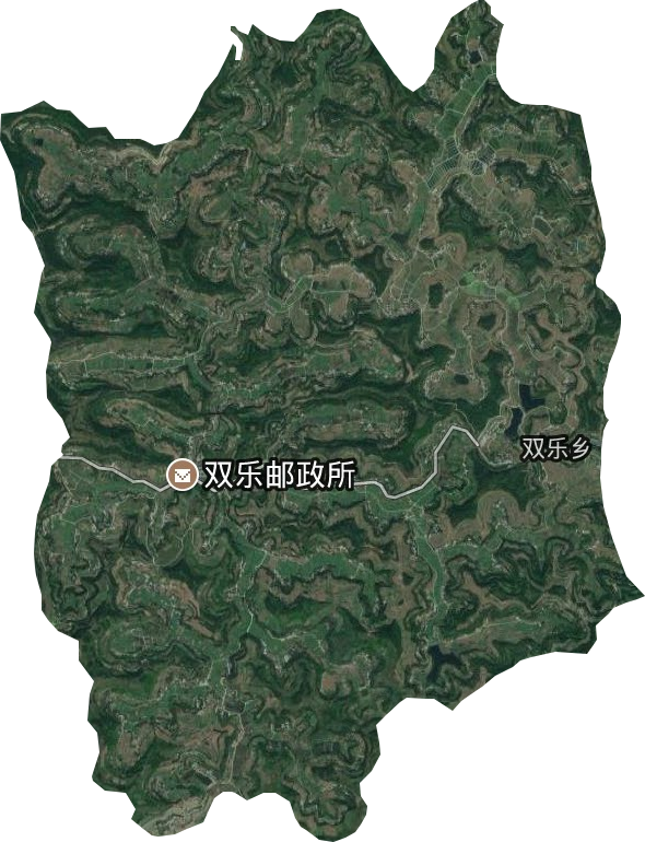 双录乡最新项目启动，乡村振兴新引擎助力发展