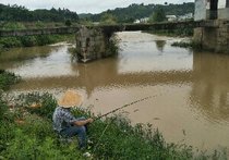 岗古村最新天气预报通知