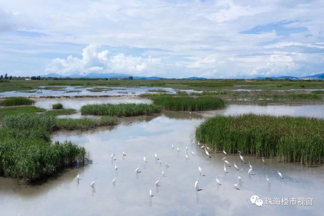 银湖湾湿地公园人事任命最新动态