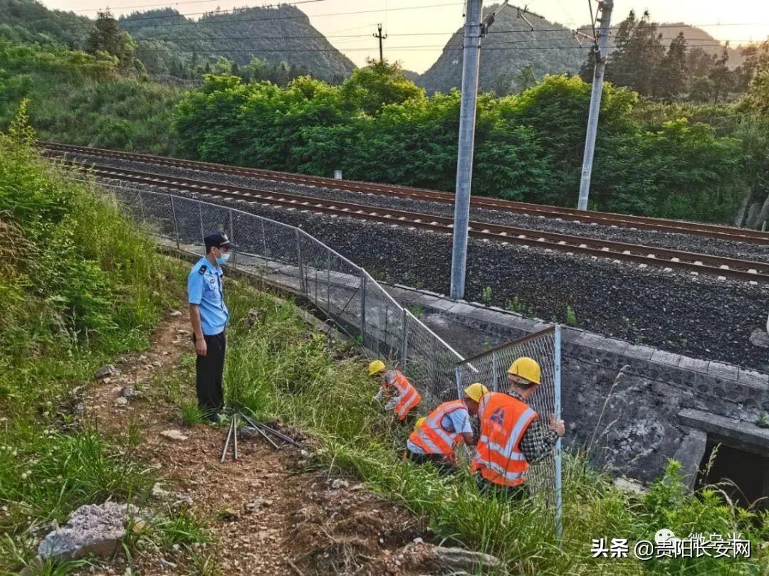 乌当区公路运输管理事业单位领导最新分析概览