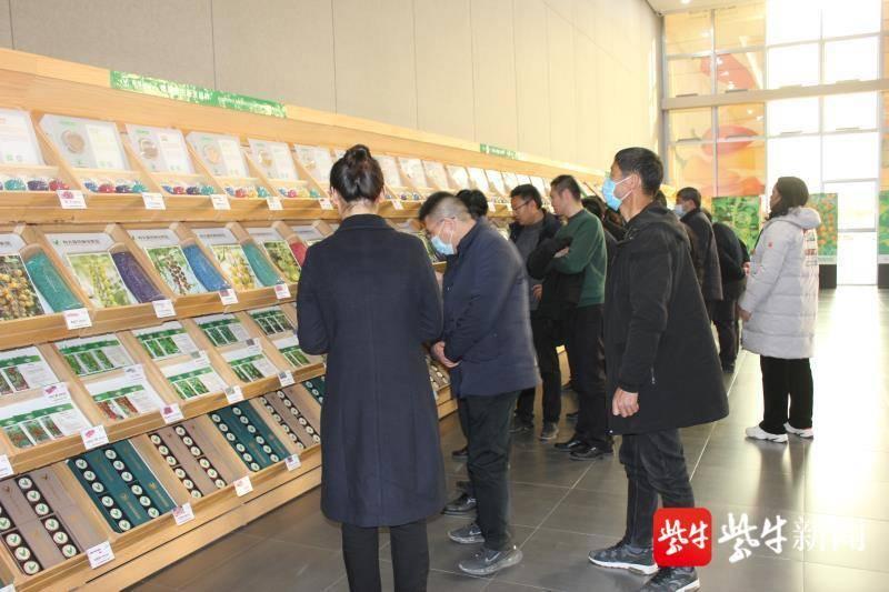 大丰市文化局最新项目进展及未来展望报告