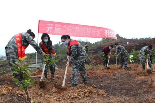 大同市林业局最新动态，绿色转型与生态文明建设步伐加快