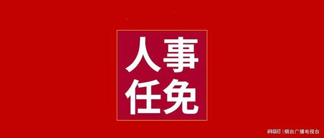 烟台市统计局最新人事任命动态解读