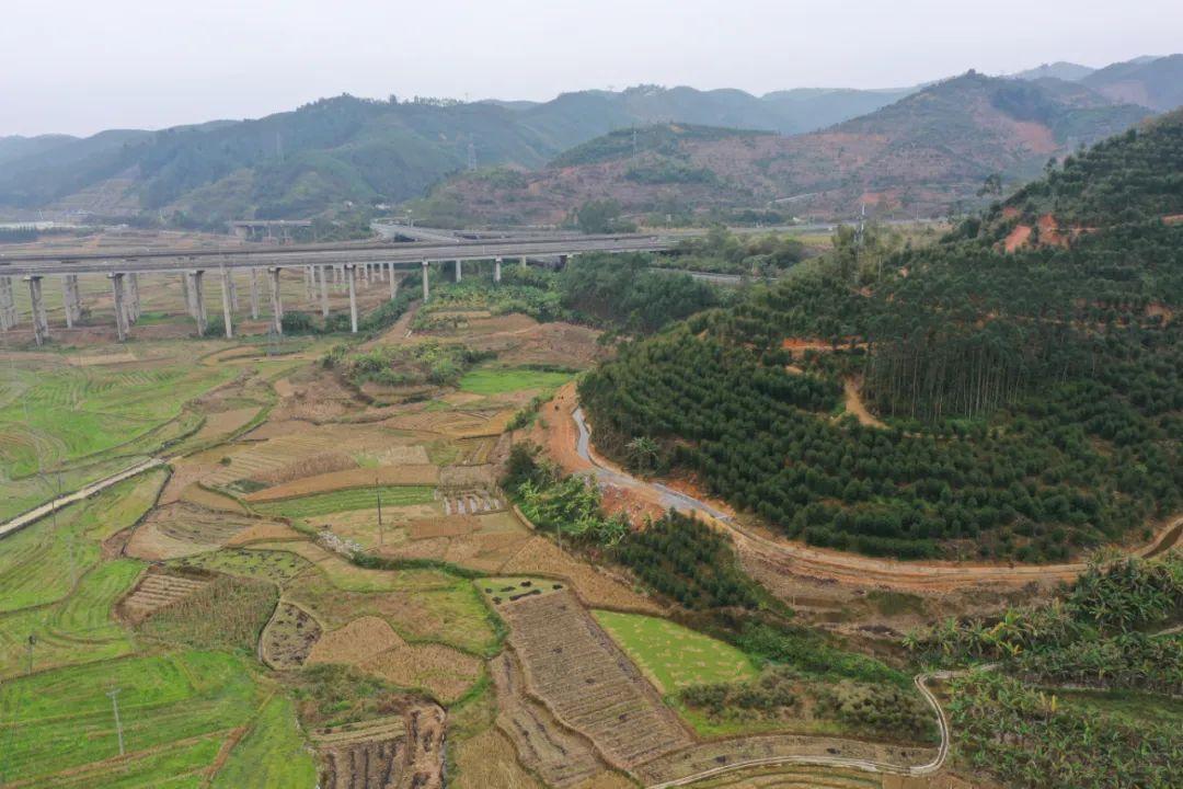 逆流°只是风景 第5页