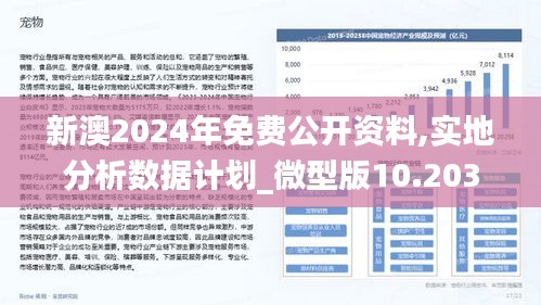 2024新澳精准资料免费,适用计划解析_尊享款19.955