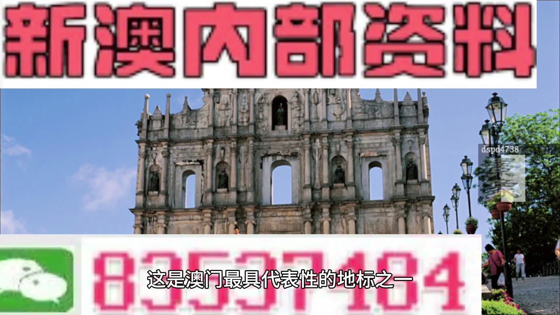 澳门特马新澳门特马,权威诠释推进方式_Android256.183