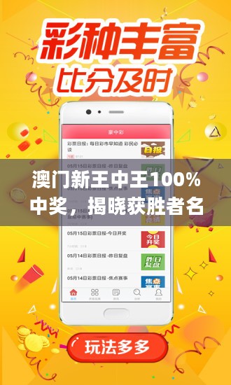 澳门王中王100%期期中,稳定性设计解析_静态版96.983