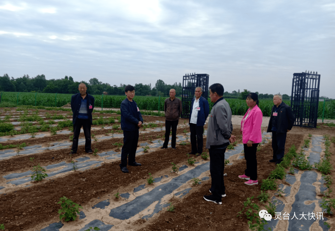 柳家铺村村委会招聘启事，最新职位空缺与机会