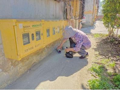 襄城区卫生健康局最新动态更新报道