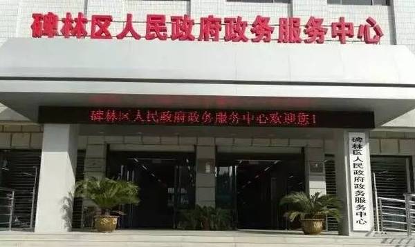 碑林区数据整合与政务服务局发展规划深度解析