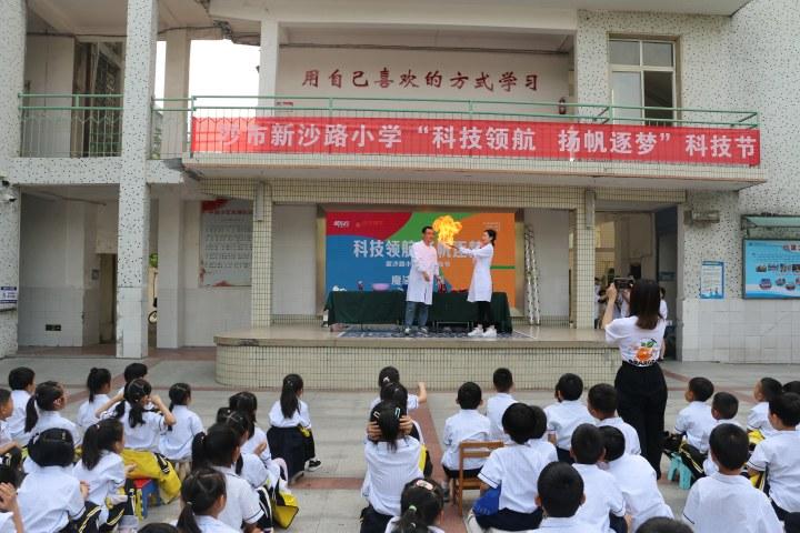 沙市区小学未来发展规划全景解析