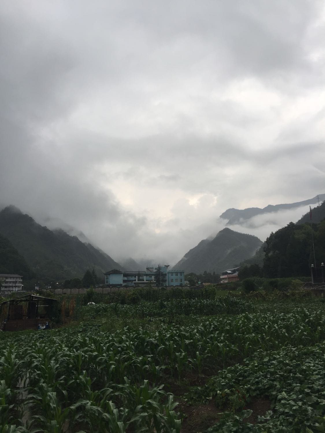 陶岭乡天气预报更新通知