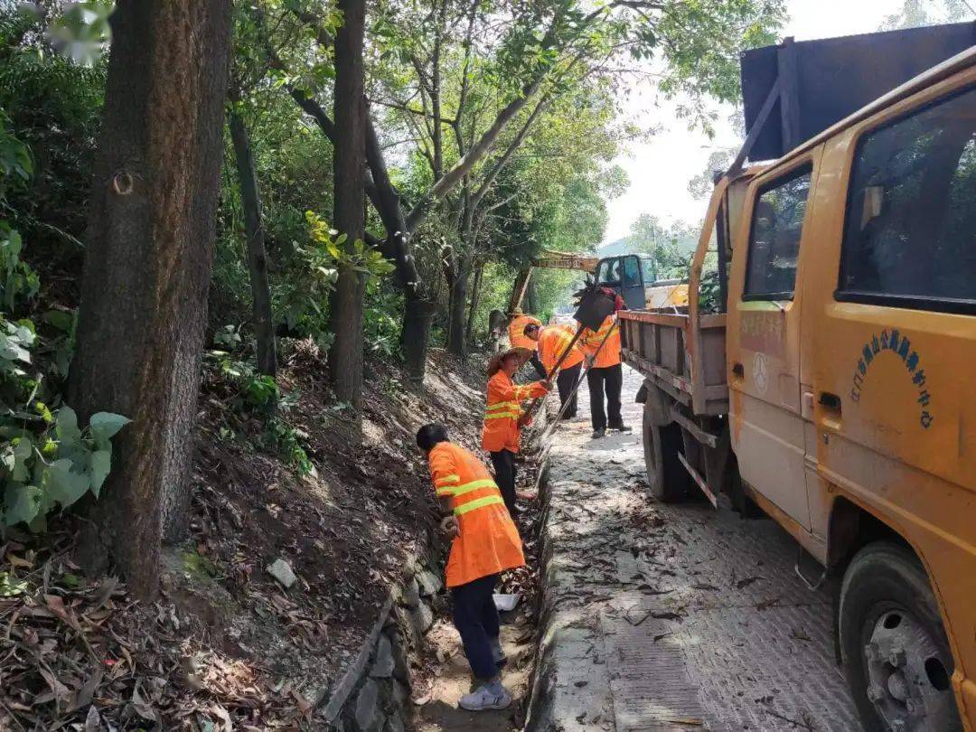 蝶山区级公路维护监理事业单位最新动态概览