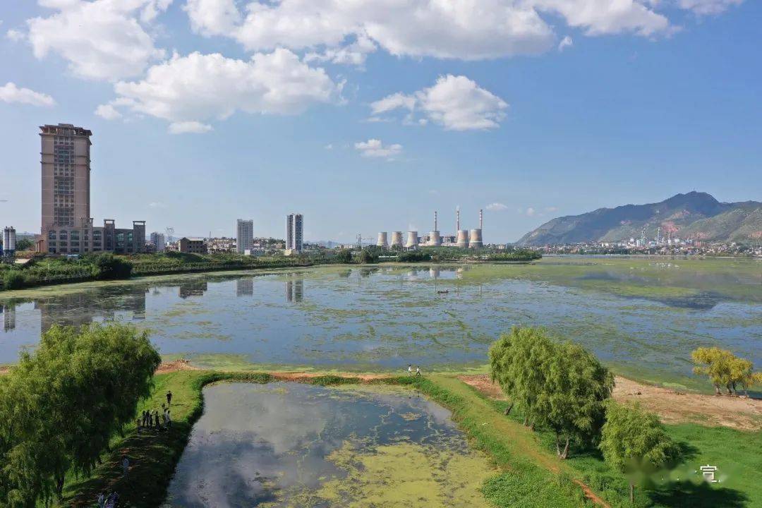 梁湖镇天气预报更新通知