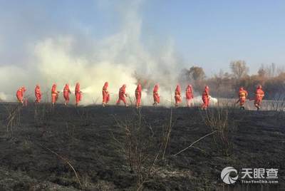 石羊河林业总场小坝口分场新项目概览