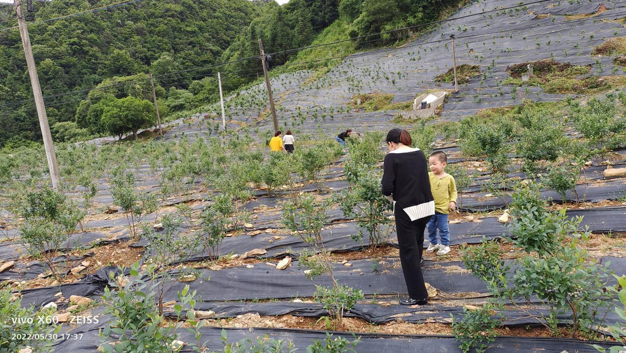 2025年1月8日 第40页