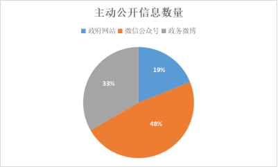 盈江县数据和政务服务局发展规划探讨