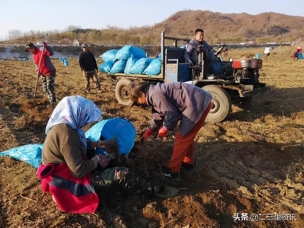 荒地满族镇天气预报更新及其影响分析