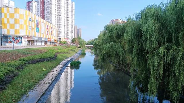 江浦街道天气预报更新通知