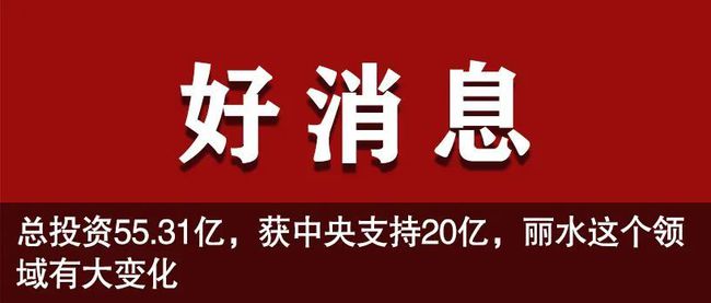 松阳县人力资源和社会保障局人事任命，构建更完善的人力资源社会保障体系