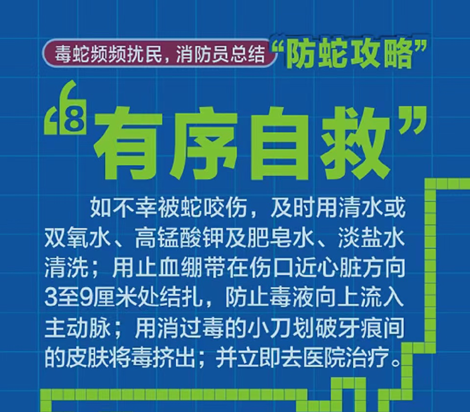 谗口村民委员会最新招聘信息，开启乡村发展新篇章的大门