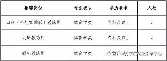 泉港区体育馆最新招聘概览