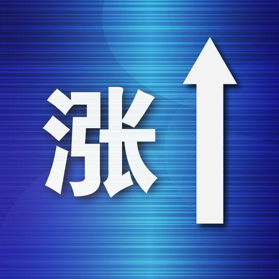 大连市城市社会经济调查队人事任命揭晓，深远影响的背后