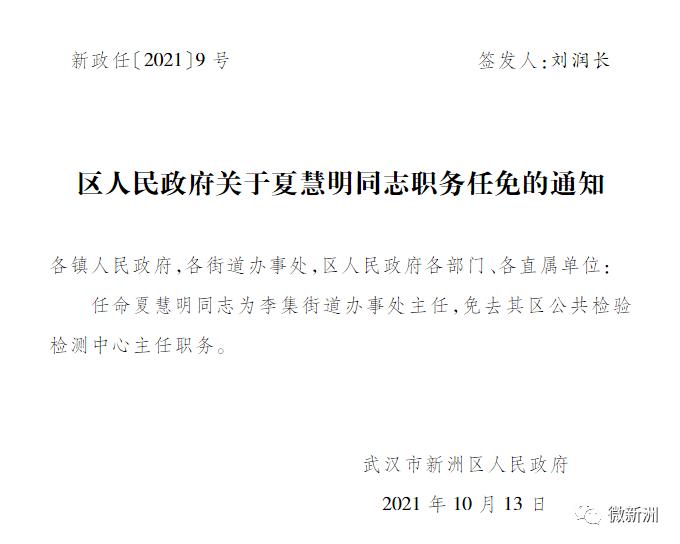 新洲镇人事大调整，领导团队重组及未来展望