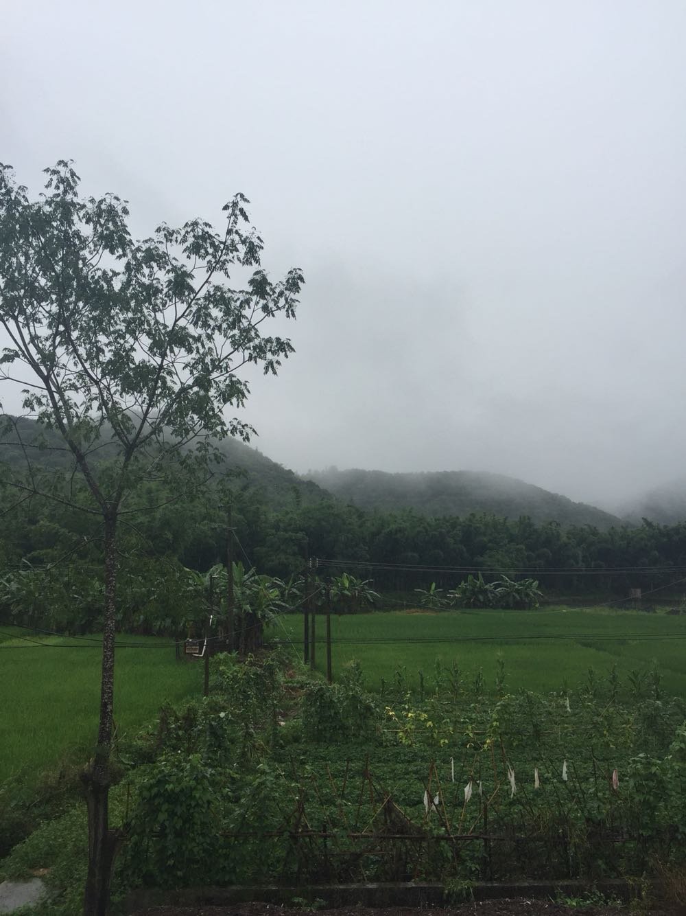 银沙村天气预报更新通知