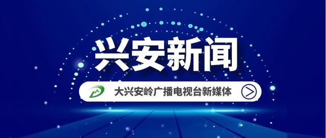 新林区卫生健康局招聘启事，最新职位空缺与要求概览