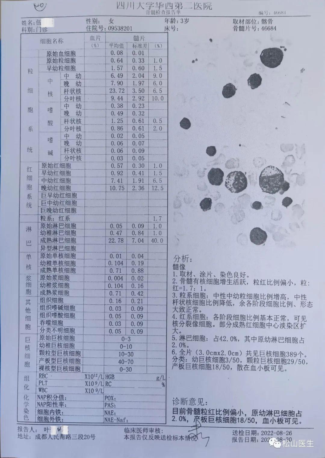 松山区应急管理局最新项目全面解读与解析