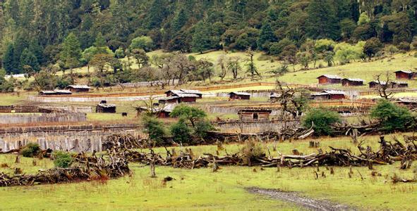 擦隆朵村最新天气预报信息汇总