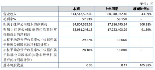 坡头区数据和政务服务局最新项目概览与动态分析