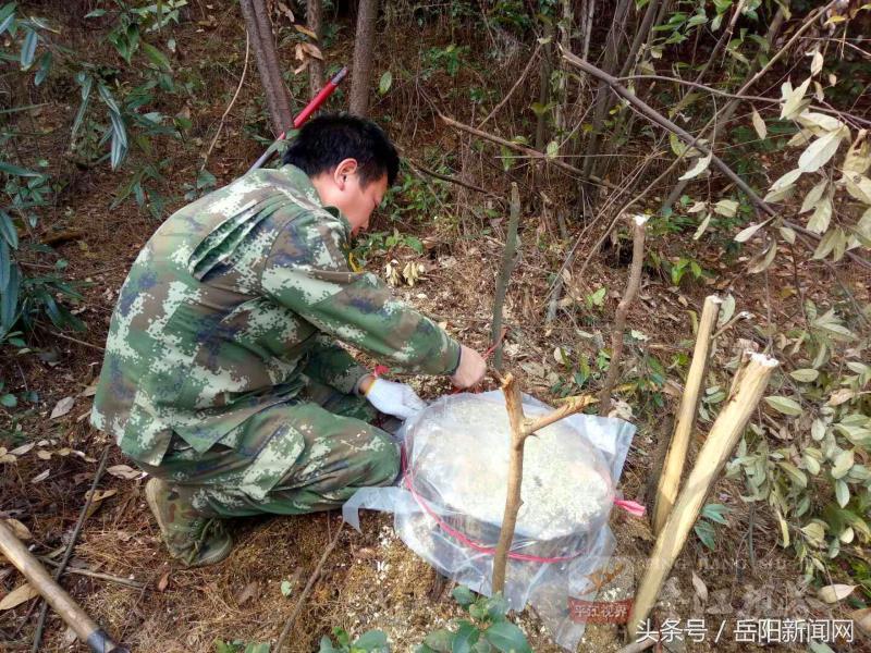 平江县应急管理局最新项目，构建安全与应急管理体系的核心基石