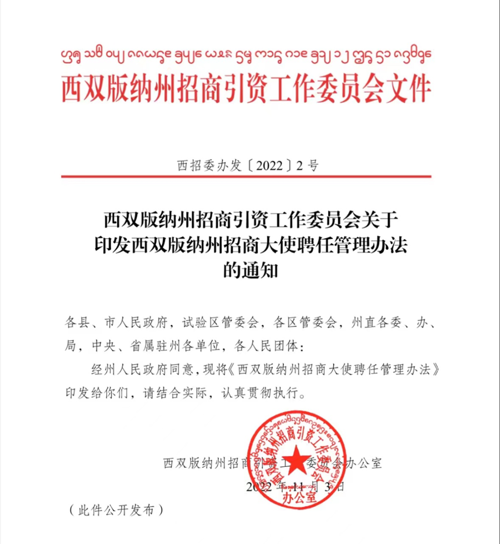 西双版纳傣族自治州市劳动和社会保障局人事任命动态解析