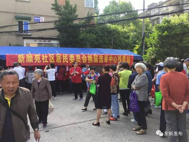 东郊场社区居委会领导团队全新概览