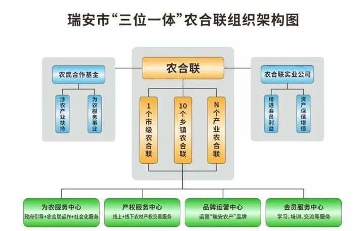 瑞安市农业农村局最新发展规划引领农业现代化，乡村振兴再添新动力