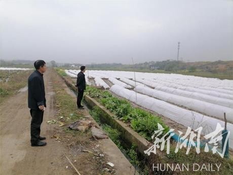 龚家坪镇新项目，地区发展的强大引擎重磅来袭