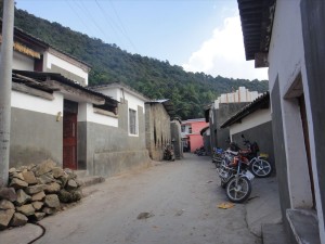 牛街彝族乡概况与勐焕街道天气预测报告