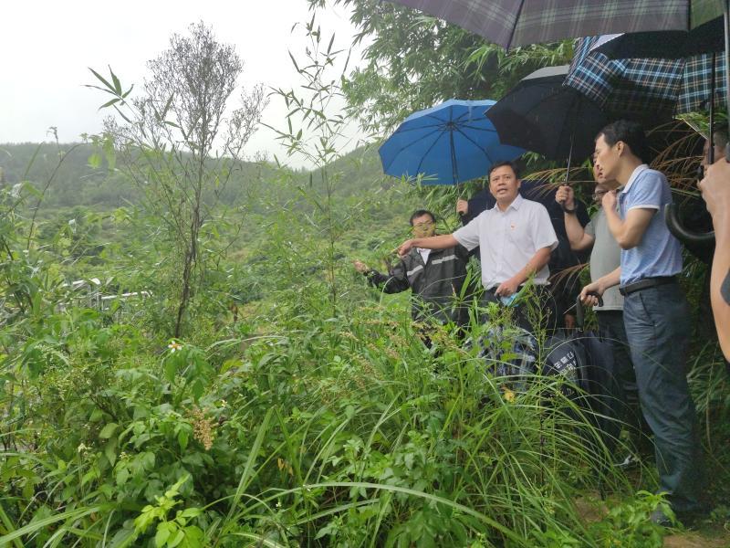 鲤城区水利局新项目启动，推动区域水资源可持续利用的关键行动