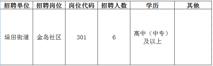 兴安区人社局最新招聘信息深度解析